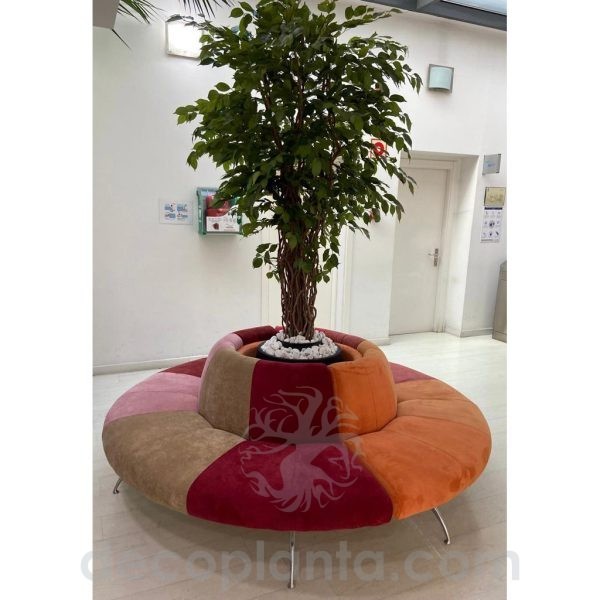 Ficus de luxe en décoration d'intérieur
