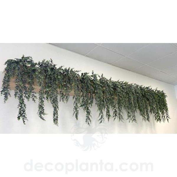decoración con planta colgante de eucalipto