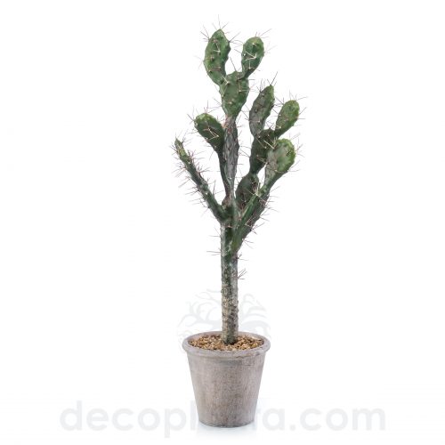 Cactus SABRA artificiel de grand réalisme pour une utilisation en intérieur