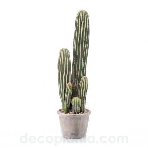 cactus artificiel SAN PEDRO de grand réalisme