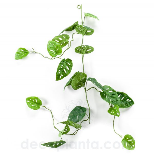 Planta colgante GUIRNALDA MONSTERA de 120 cm. Color verde