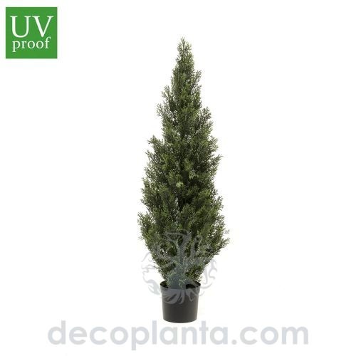 Sapin arizona 120 cm avec protection UV