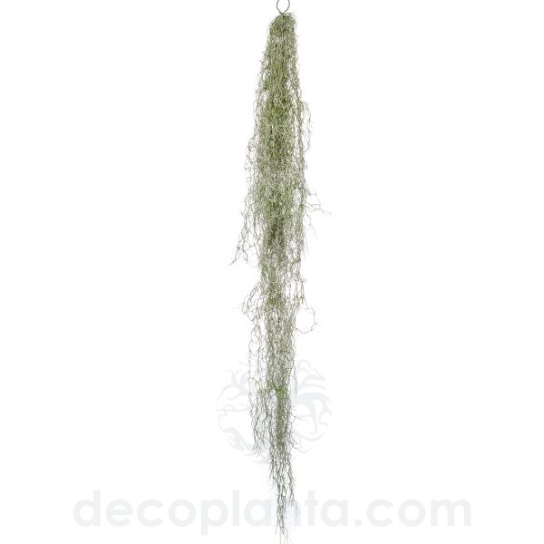 Arbusto Colgante TILLANDSIA de 150cm / Planta suspensa Tillandsia