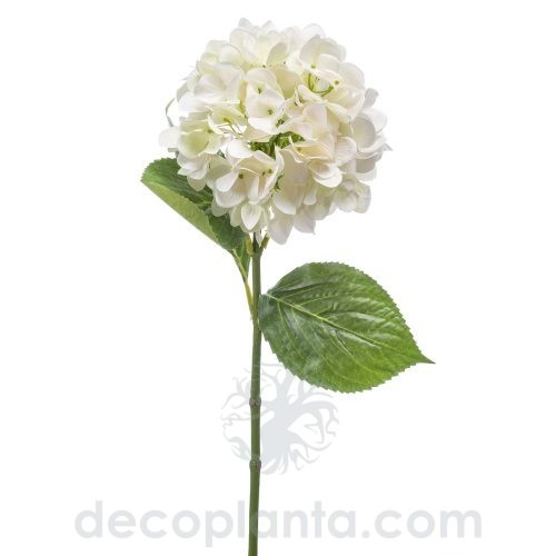 Hortensia blanca de 67 cm de altura