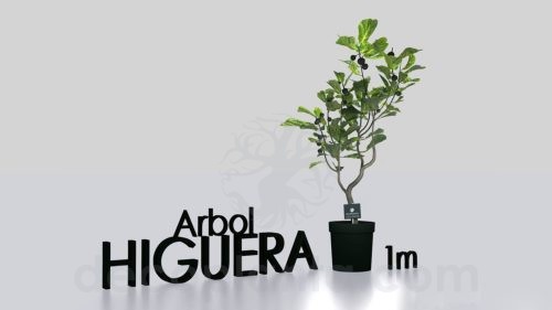 árbol HIGUERA EN 3D