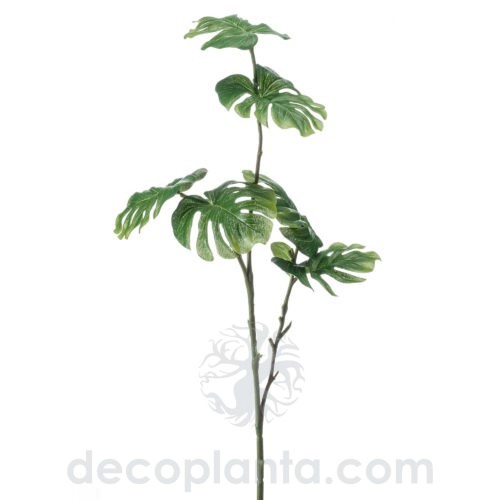 Rama de Monstera de 72 cm de altura, para pinchar en espuma floral o en tierra.