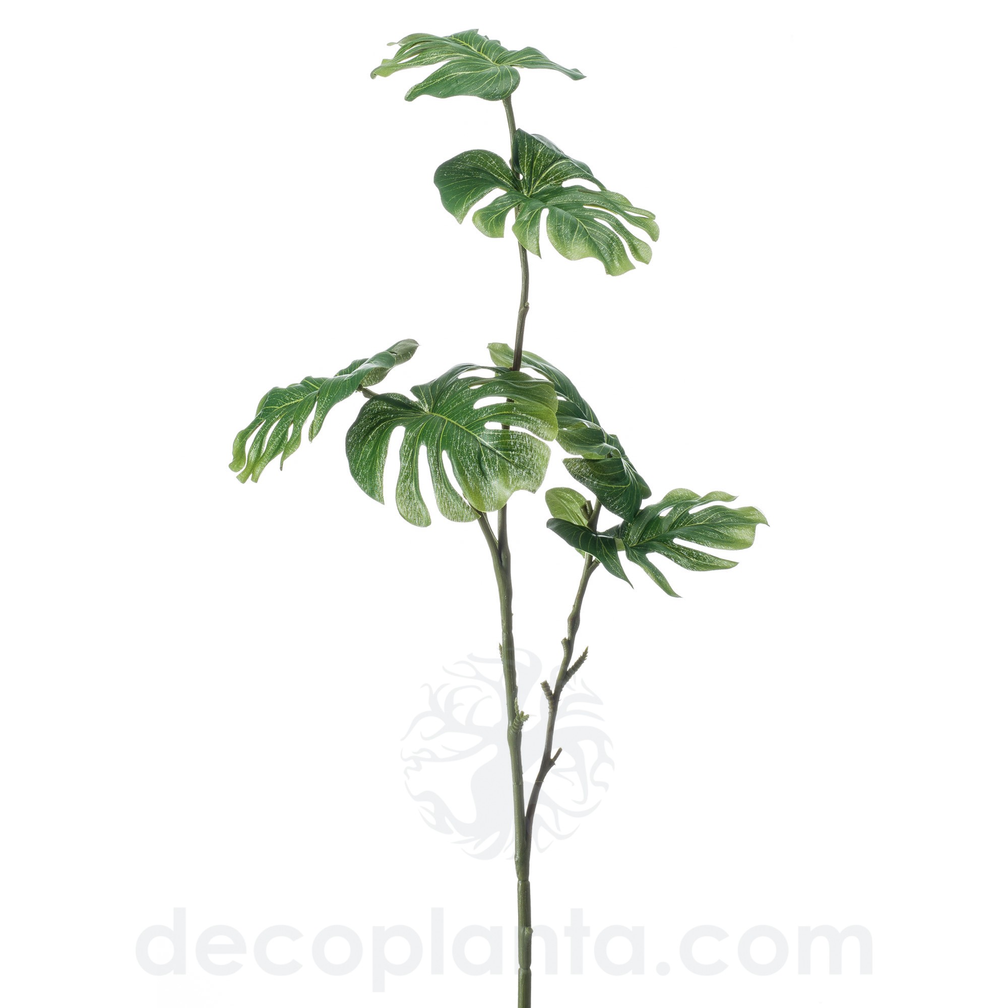 Rama de Monstera de 72 cm de altura, para pinchar en espuma floral o en tierra.
