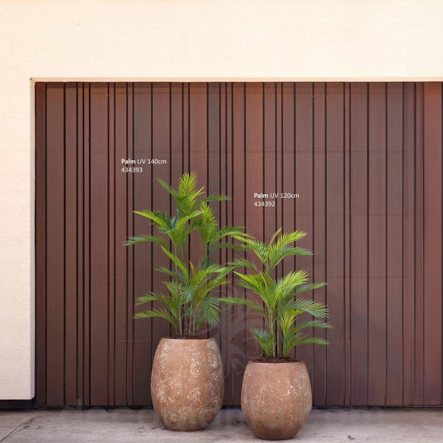 Palmeras de exterior en decoración de jardín