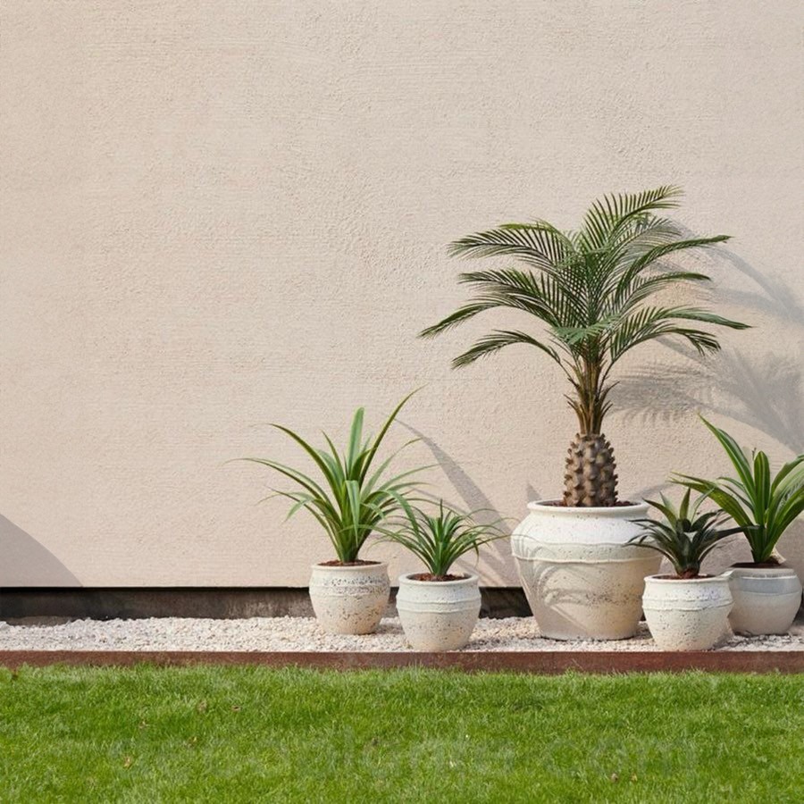 Palmera Exotic en decoración de jardín