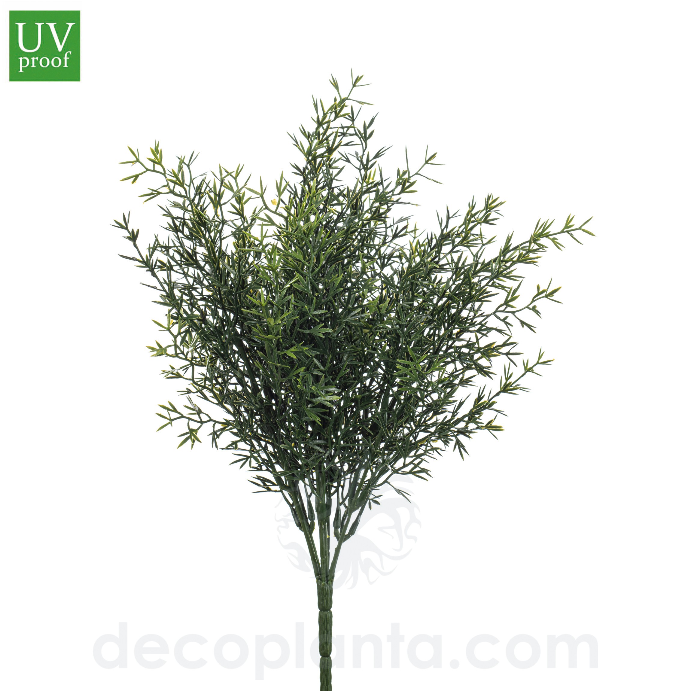 Arbusto de Romero UV de 35 cm de altura, para pinchar en espuma floral o en tierra