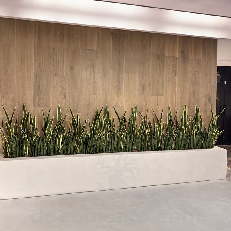 decoración interior con sansevierias artificiales
